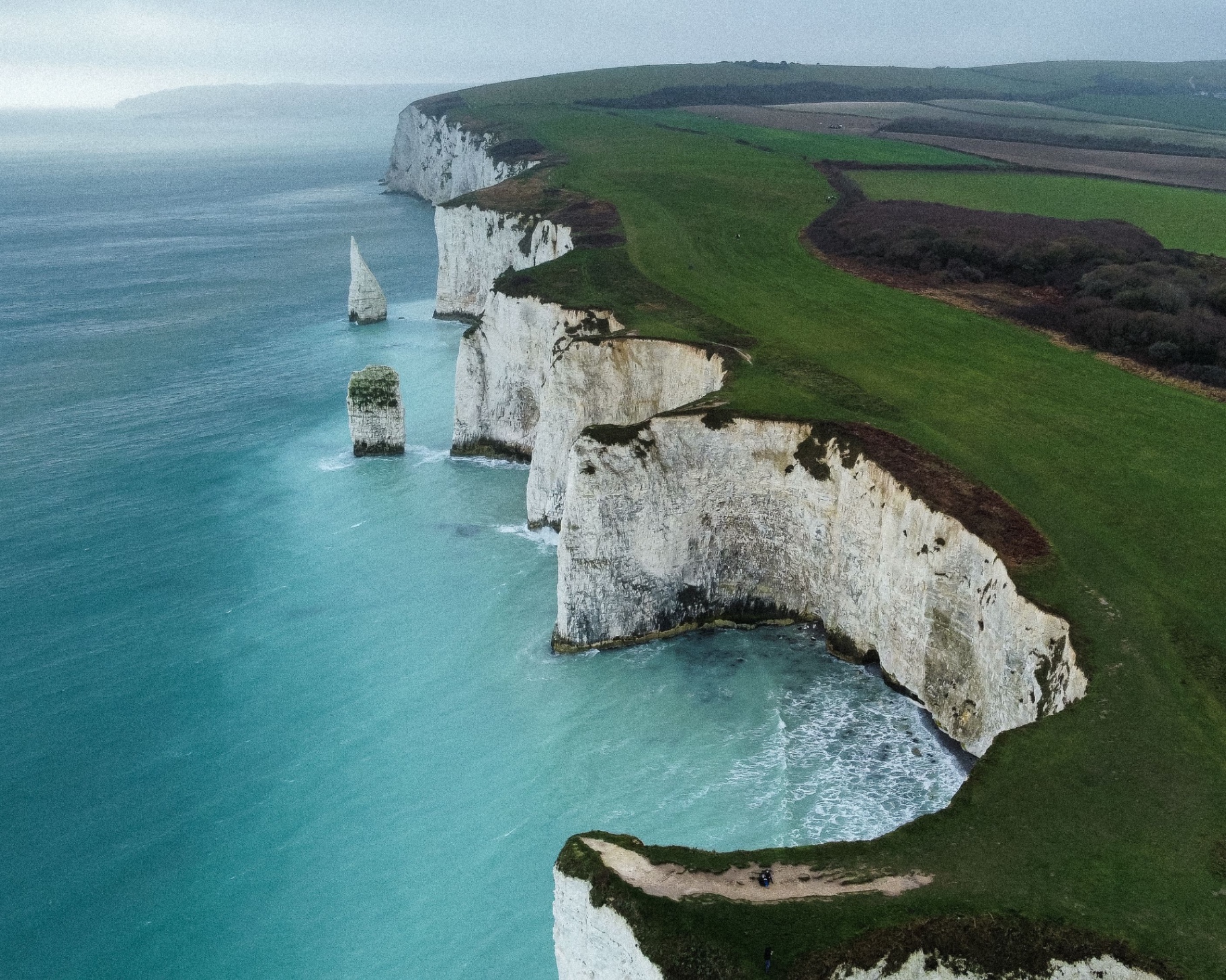 Old Harry Rocks & Swanage